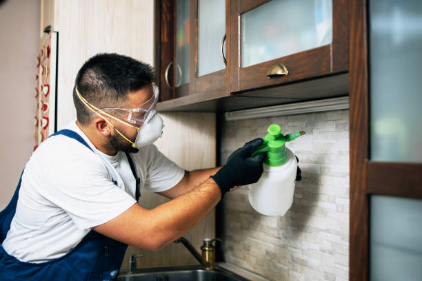 Best Mosquito Control Services  in Spring House, PA