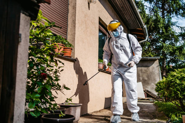 Wildlife Control Services in Spring House, PA