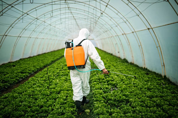 Best Affordable Pest Control Services  in Spring House, PA