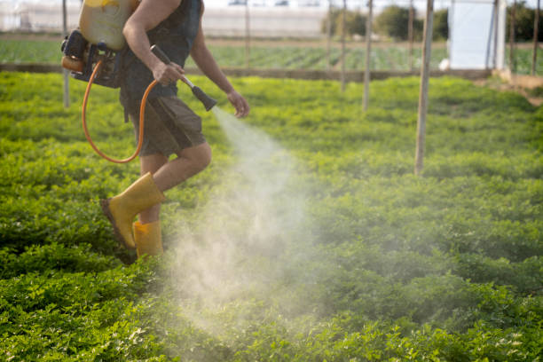 Best Pest Prevention Services  in Spring House, PA