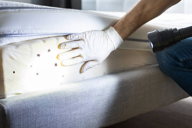 Best Local Pest Control Services  in Spring House, PA